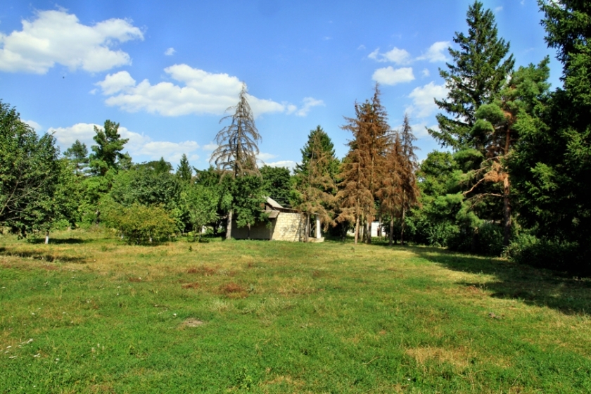 Parcul Hincauti, raionul Edinet, Republica Moldova